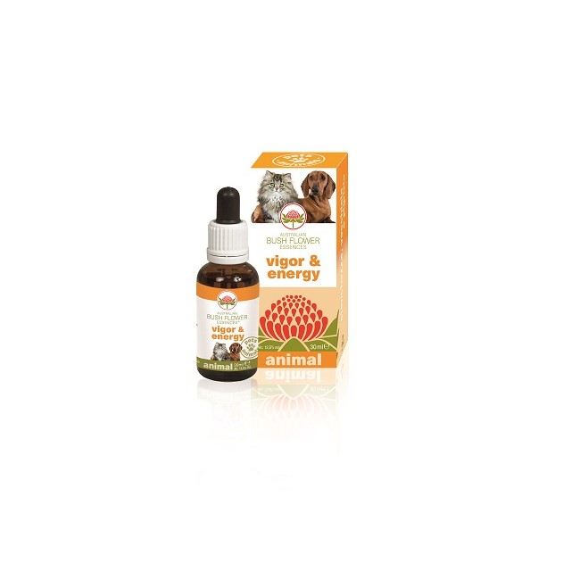 VIGOR & ENERGY 30 ML VIGOR & ENERGY 30 ML