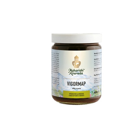 Map Italia VIGORMAP PASTA 600 G Map Italia VIGORMAP PASTA 600 G