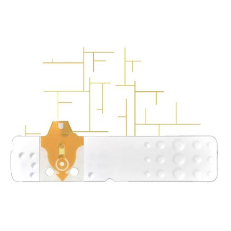 STRISCE MISURAZIONE GLICEMIA LINEA D ORO 50 PEZZI