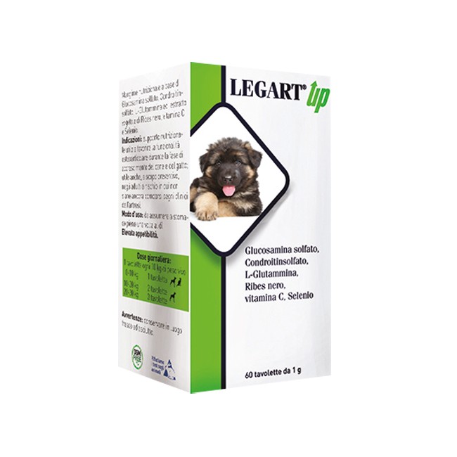 LEGART UP 60 COMPRESSE DA 1 G LEGART UP 60 COMPRESSE DA 1 G