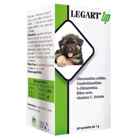 LEGART UP 60 COMPRESSE DA 1 G LEGART UP 60 COMPRESSE DA 1 G