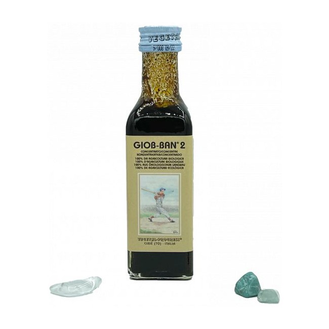 GIOB BAN 2 ART ESTRATTO CONCENTRATO BIOLOGICO 100 ML GIOB BAN 2 ART ESTRATTO CONCENTRATO BIOLOGICO 100 ML