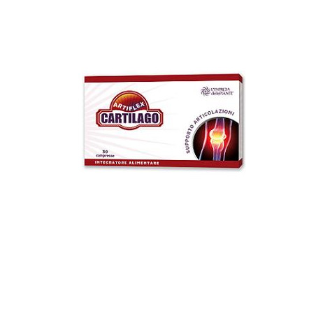ARTIFLEX CARTILAGO 30 COMPRESSE ARTIFLEX CARTILAGO 30 COMPRESSE