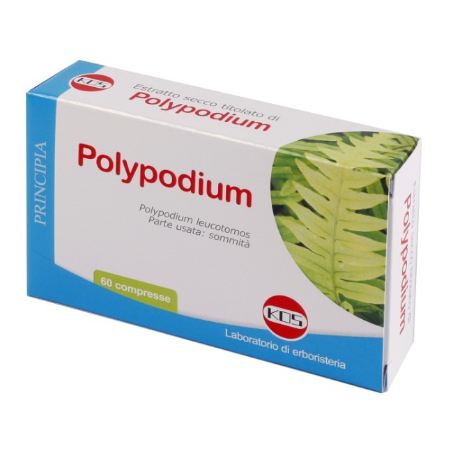 POLYPODIUM ESTRATTO SECCO 60 COMPRESSE VEGETALI POLYPODIUM ESTRATTO SECCO 60 COMPRESSE VEGETALI