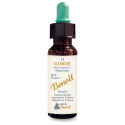 FIORI DI BACH BENOIT GORSE 10 ML