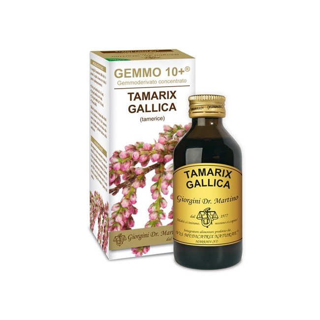 GEMMO 10+ TAMERICE 100 ML LIQUIDO ANALCOLICO