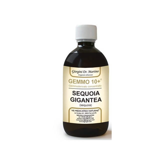GEMMO 10+ SEQUOIA 500 ML LIQUIDO ANALCOLICO GEMMO 10+ SEQUOIA 500 ML LIQUIDO ANALCOLICO