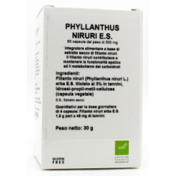 Phyllanthus Niruri Estratto Secco 60 Capsule