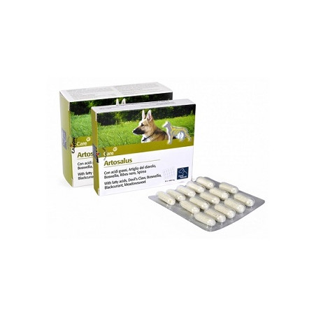 ARTOSALUS ORME NAT 60CPR ARTOSALUS ORME NAT 60CPR