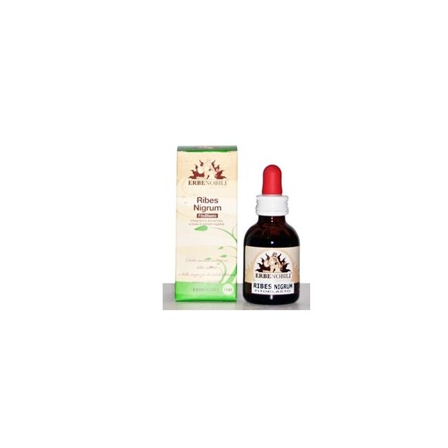 Fitoblasto Ribes Nigrum 50 Ml Fitoblasto Ribes Nigrum 50 Ml
