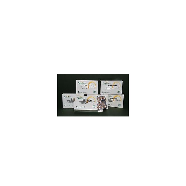 GINKGOSAN 60 COMPRESSE 400 MG