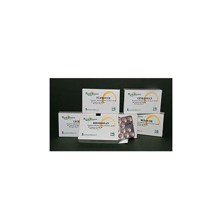 GINKGOSAN 60 COMPRESSE 400 MG