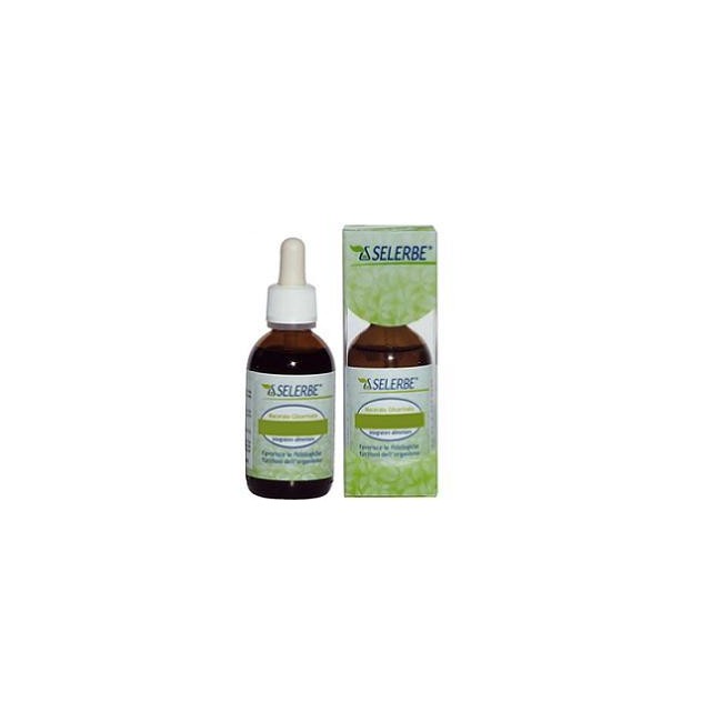 BETULLA VERRUCOSA LINFA 50 ML MACERATO GLICERICO
