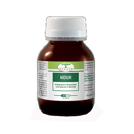 NIDIUR 60 CAPSULE NIDIUR 60 CAPSULE