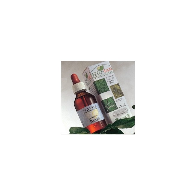 PASSIFLORA FGL 100ML TM PASSIFLORA FGL 100ML TM