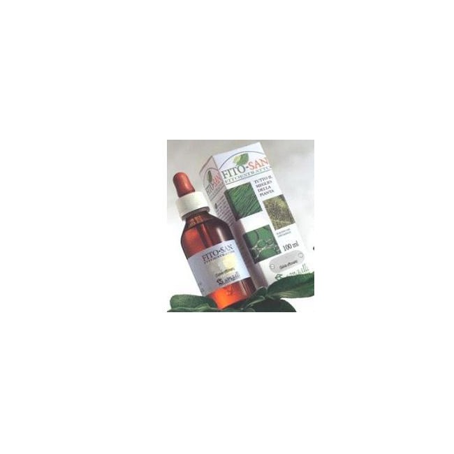 GINKGO BILOBA FOGLIE 100 ML TINTURA MADRE