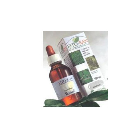 GINKGO BILOBA FOGLIE 100 ML TINTURA MADRE