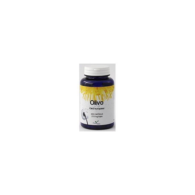 OLIVO 60 CAPSULE OLIVO 60 CAPSULE