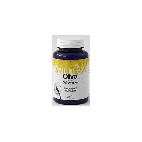 OLIVO 60 CAPSULE