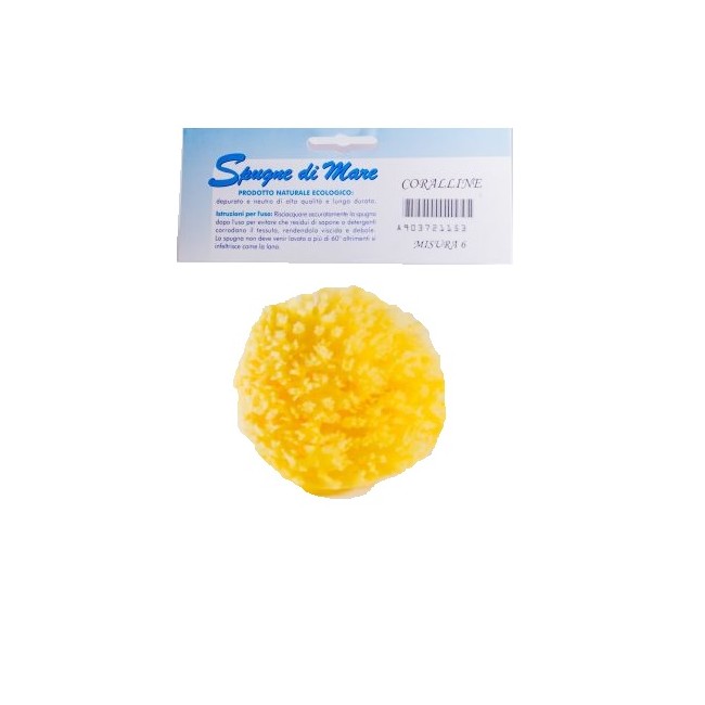 SPUGNA MARE NATURALE MEDIUM SPUGNA MARE NATURALE MEDIUM