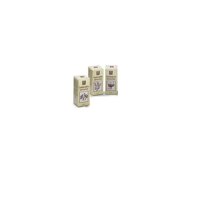 ECHINACEA ESTRATTO ANALCOLICO 50 ML ARTICOLO 813 ECHINACEA ESTRATTO ANALCOLICO 50 ML ARTICOLO 813