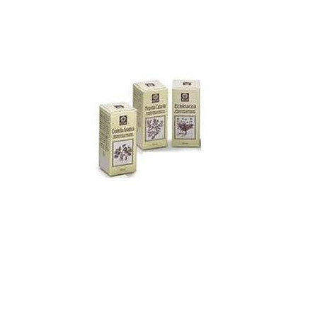 ECHINACEA ESTRATTO ANALCOLICO 50 ML ARTICOLO 813 ECHINACEA ESTRATTO ANALCOLICO 50 ML ARTICOLO 813