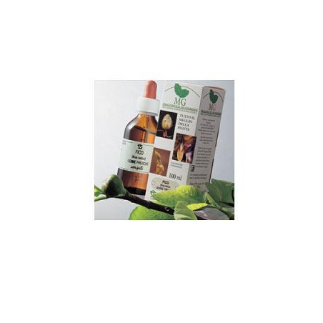 ROSA CANINA 100ML MG
