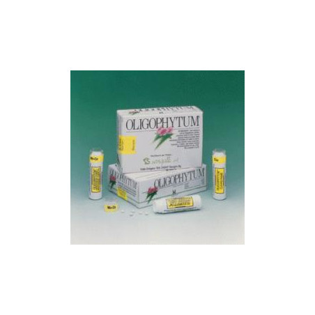 OLIGOPHYTUM MAG 300 MICROCOMPRESSE