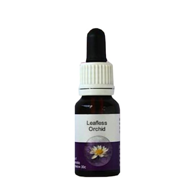 LEAFLESS ORCHID ESS 15ML AUST LEAFLESS ORCHID ESS 15ML AUST
