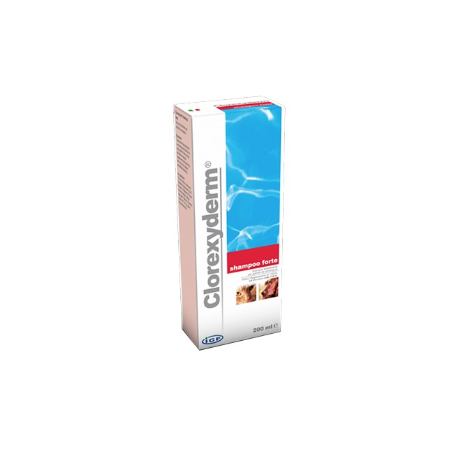 CLOREXYDERM SHAMPOO FORTE 200 ML CLOREXYDERM SHAMPOO FORTE 200 ML
