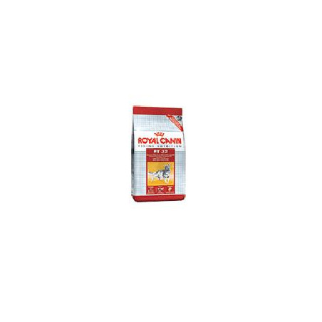 FELINE HEALTH NUTRITION FIT 32 2 KG FELINE HEALTH NUTRITION FIT 32 2 KG