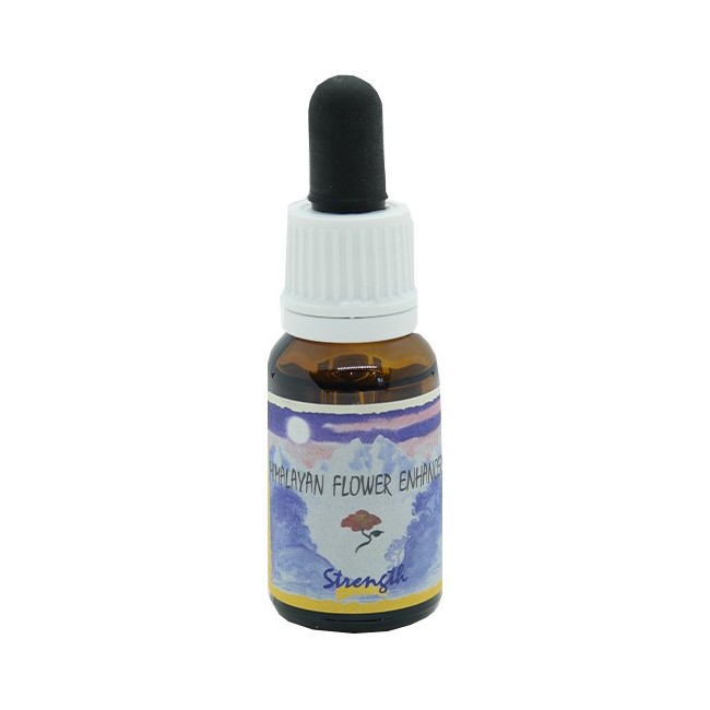STRENGTH ESSENZA 15 ML 1 PEZZO STRENGTH ESSENZA 15 ML 1 PEZZO
