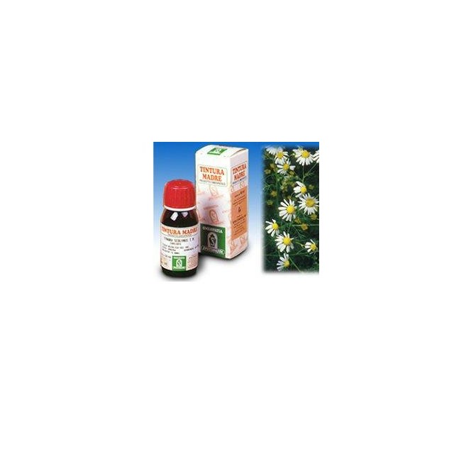 CAMOMILLA 7 50ML TM