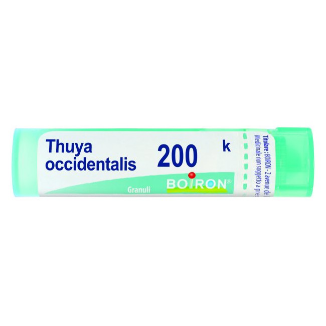 THUYA OCCIDENT 200K GRANULI THUYA OCCIDENT 200K GRANULI