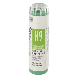 HORUS H9 GR