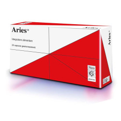 Aries Fast 20 Bustine Stick