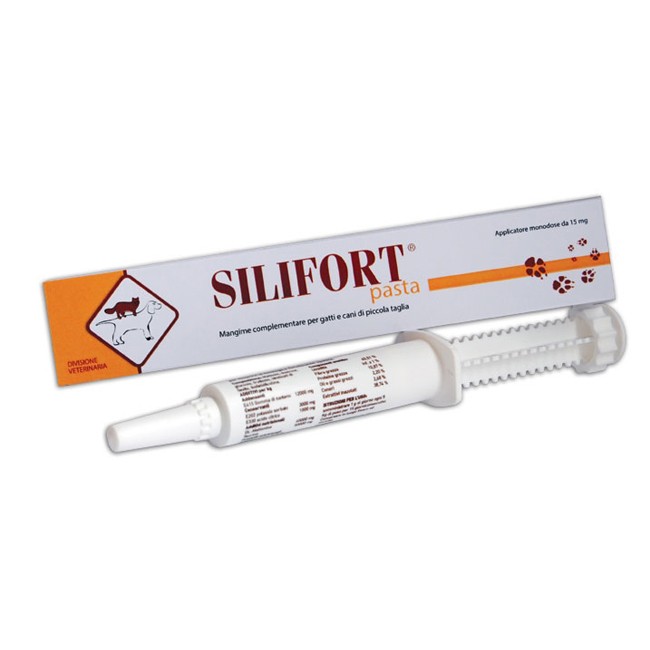 Silifort Pasta Os Siringa 30g Silifort Pasta Os Siringa 30g