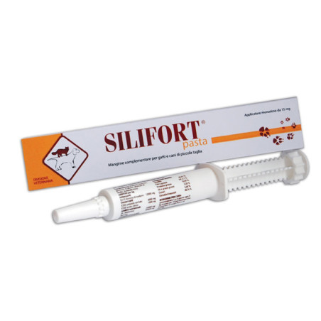 Silifort Pasta Os Siringa 30g Silifort Pasta Os Siringa 30g