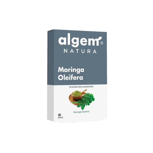 MORINGA OLEIFERA 30 CAPSULE MORINGA OLEIFERA 30 CAPSULE