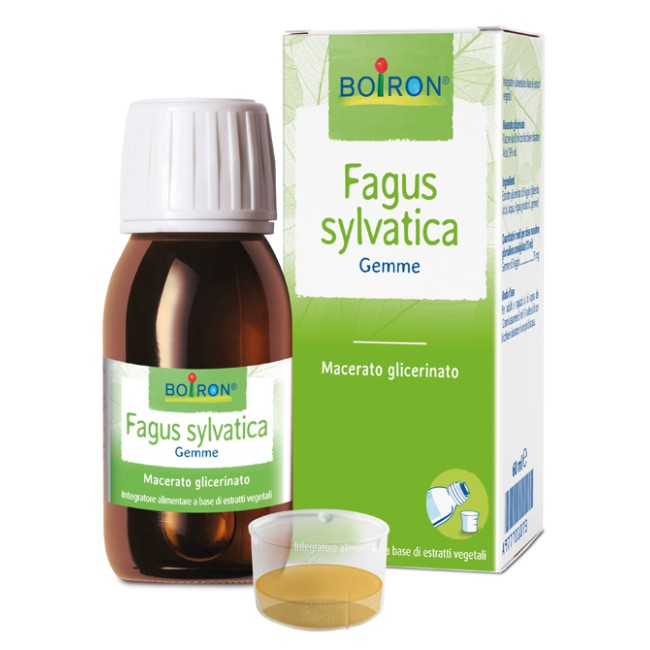 FAGUS SYLVATICA MACERATO GLICERICO 60 ML INT FAGUS SYLVATICA MACERATO GLICERICO 60 ML INT