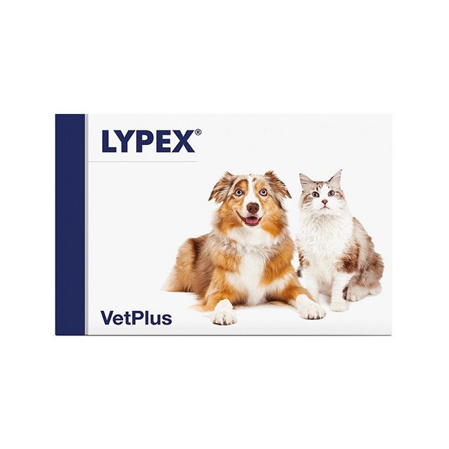 LYPEX 60 CAPSULE LYPEX 60 CAPSULE