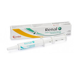 Siringa da 25 ml di Renal P Pasta, mangime complementare per cani e gatti.