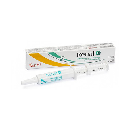 Siringa da 25 ml di Renal P Pasta, mangime complementare per cani e gatti.