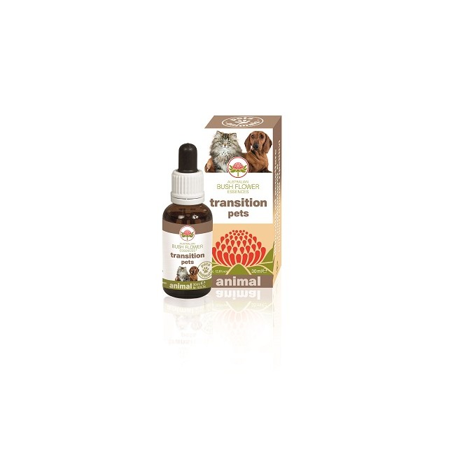 TRANSITION PETS 30 ML TRANSITION PETS 30 ML