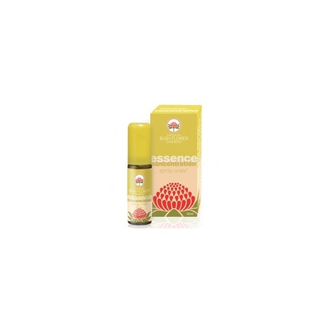 CONCENTRATION SPRAY ORALE 20 ML CONCENTRATION SPRAY ORALE 20 ML