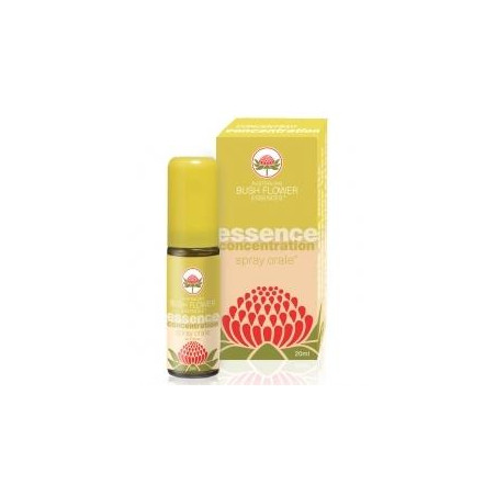 CONCENTRATION SPRAY ORALE 20 ML