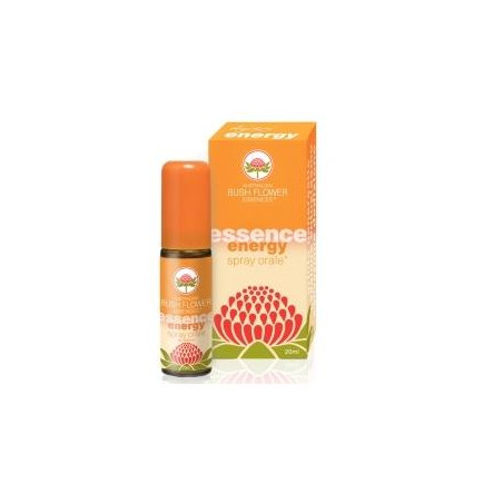 ENERGY SPRAY ORALE 20 ML