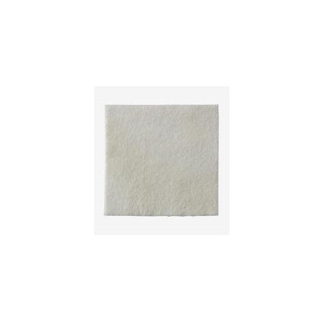 MEDICAZIONE BIATAIN ALGINATE IN ALGINATO E CARBOSSIMETILCELLULOSA 15X15 CM 10 PEZZI MEDICAZIONE BIATAIN ALGINATE IN ALGINATO E CARBOSSIMETILCELLULOSA 15X15 CM 10 PEZZI