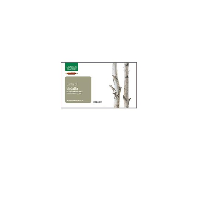 LINFA DI BETULLA BIOLOGICO 20 AMPOLLE BEVIBILI DA 15 ML LINFA DI BETULLA BIOLOGICO 20 AMPOLLE BEVIBILI DA 15 ML