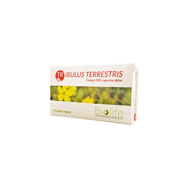 TRIBULUS TERRESTRIS 60 CAPSULE TRIBULUS TERRESTRIS 60 CAPSULE
